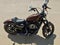 2020 HARLEY-DAVIDSON XL1200NS IRON Base